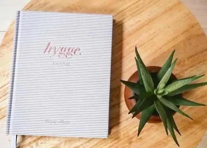 R-Appartements La Petite Strasbourgeoise Hygge