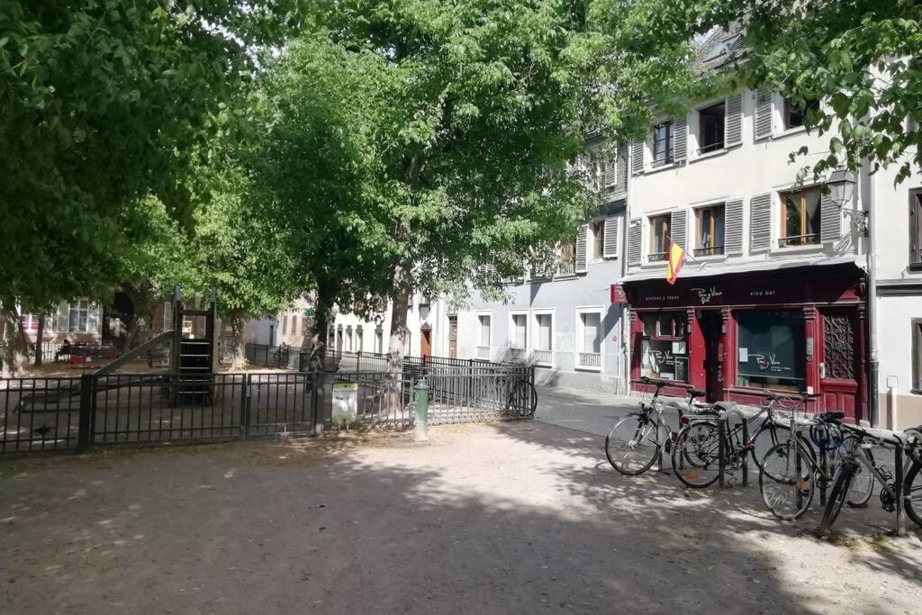 R-appartements La Petite Strasbourgeoise Hygge Cosy * Straatsburg